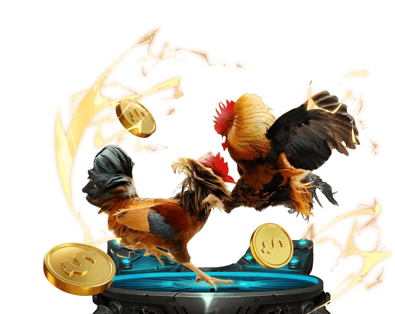 Hướng dẫn cá cược thể thao sun city 88